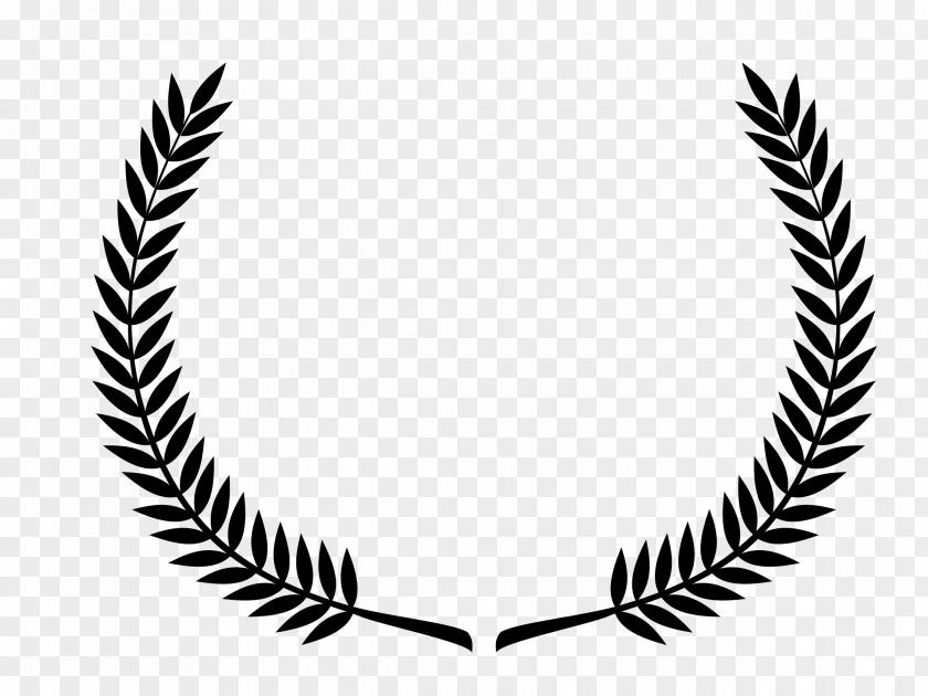 Borders And Frames Laurel Wreath Clip Art Bay PNG