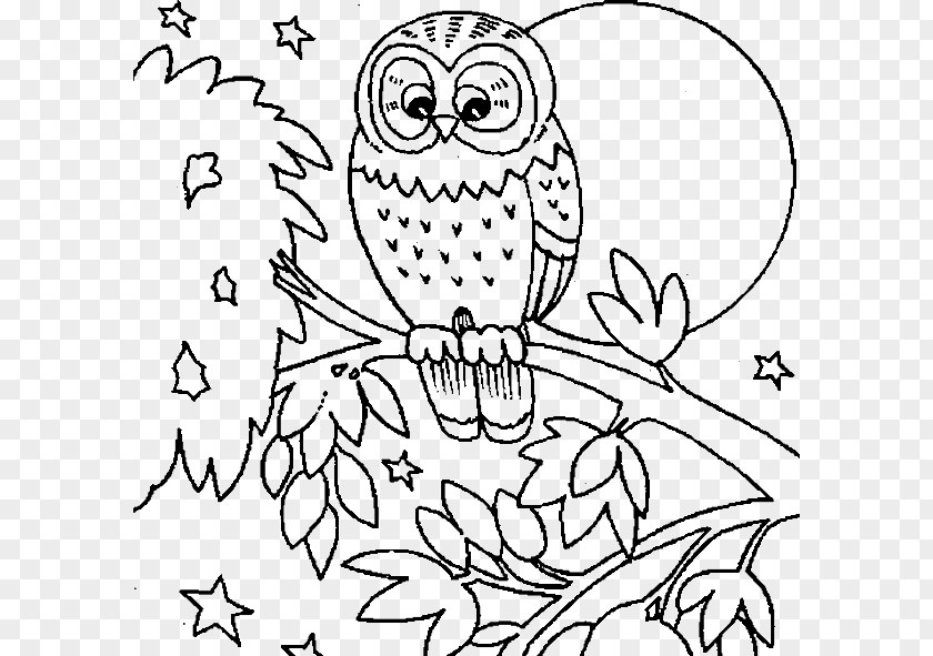 Owl Snowy Coloring Book PNG
