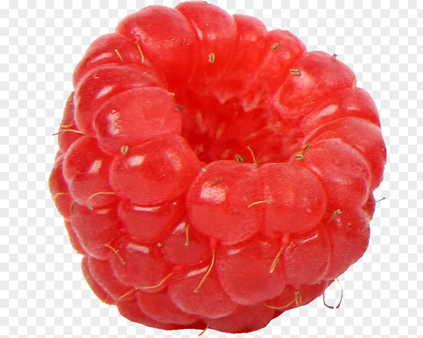 Raspberry Red Fruit Dewberry PNG