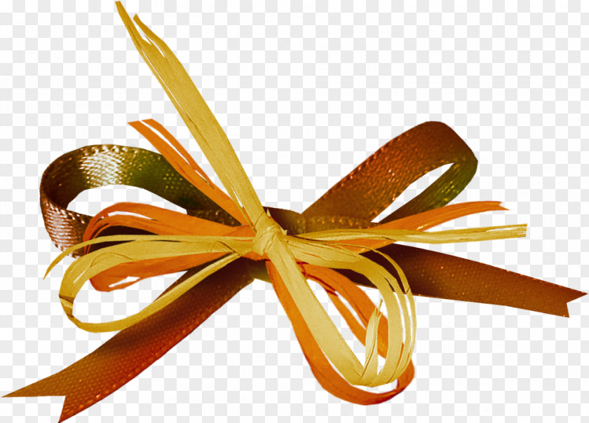 Ribbon Clip Art PNG