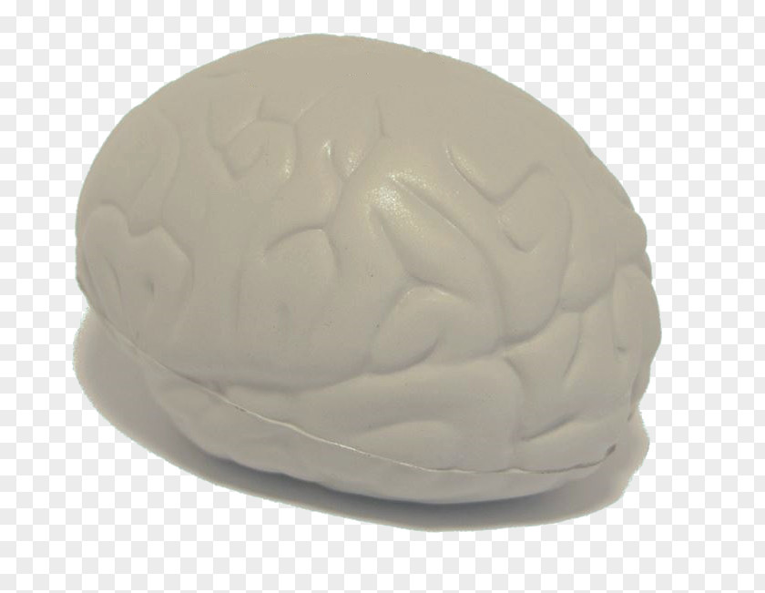 Stress Ball Brain Toy PNG