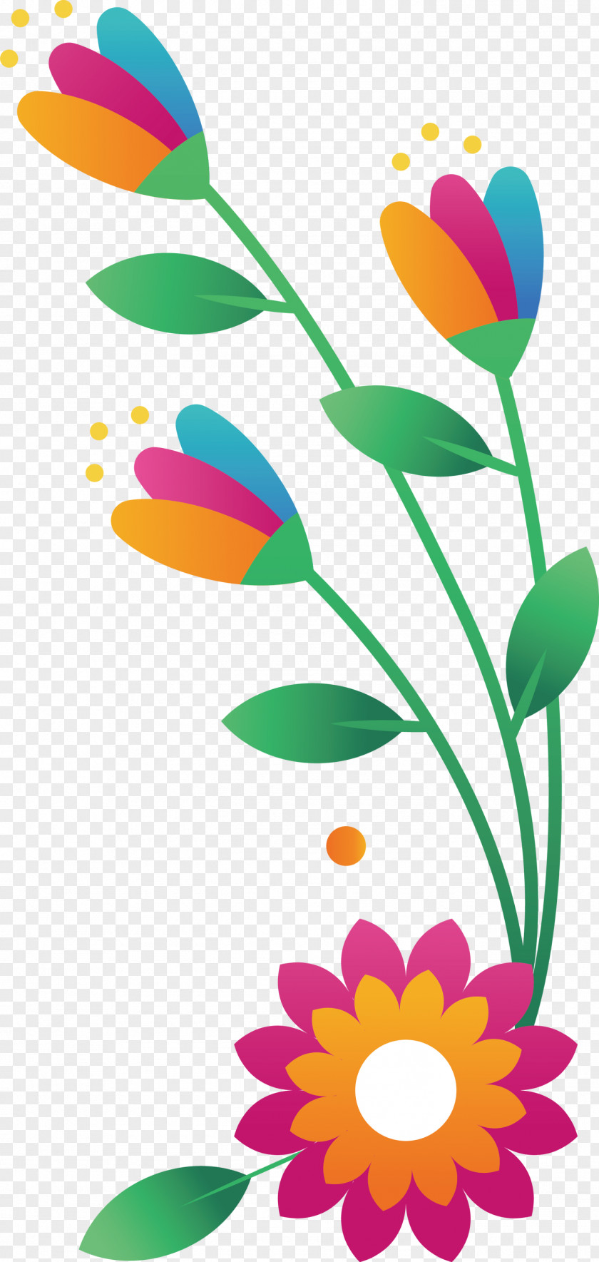 Floral Design PNG