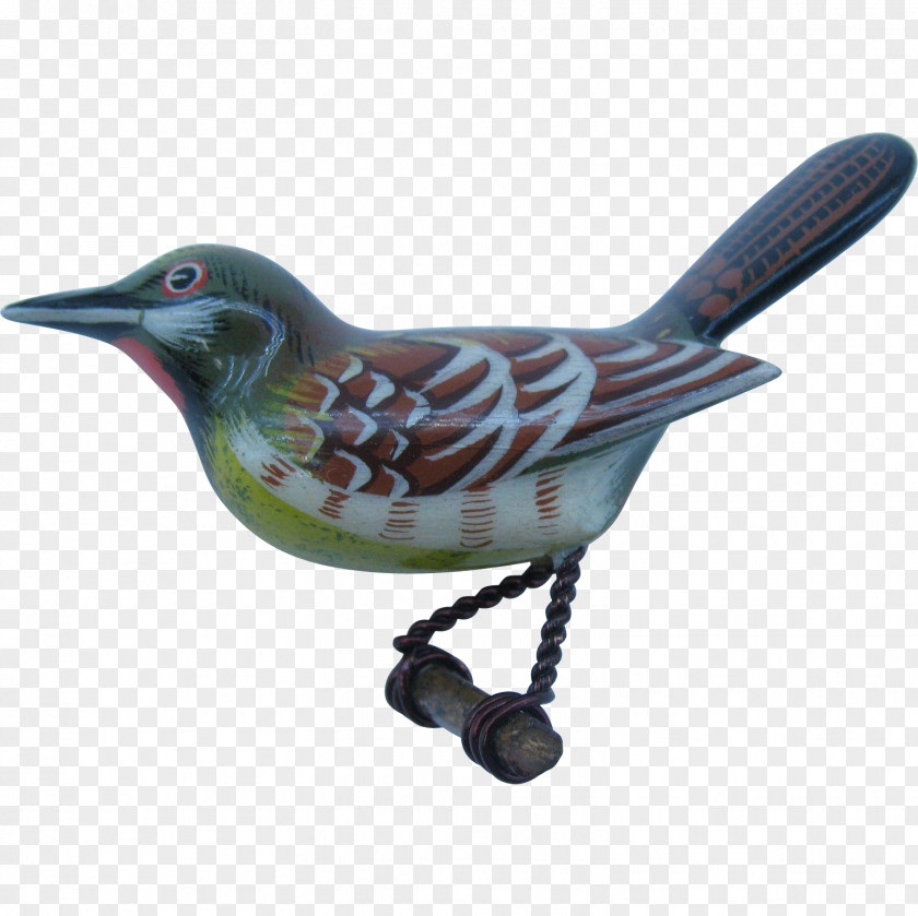 Hand Painted Bird Wren Beak Fauna Cuckoos Feather PNG