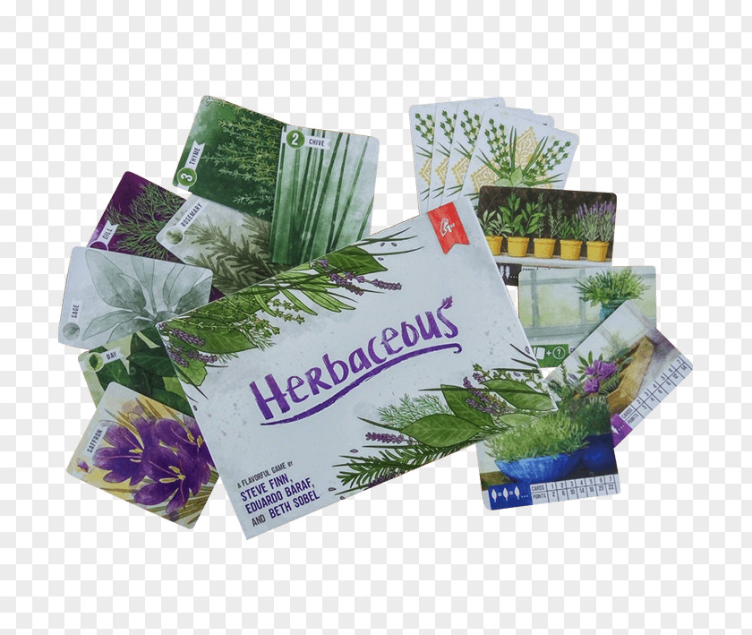 Herbaceous Game Plant Jacks Herbalism PNG