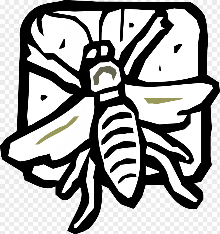Insect Bee Bird Clip Art PNG
