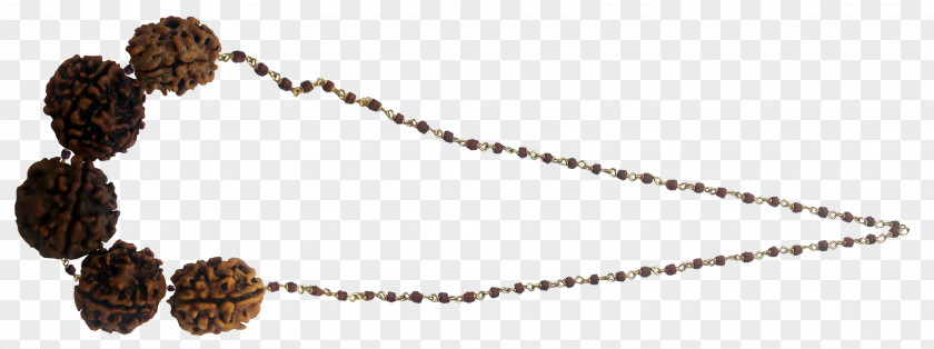 Jewellery Bead Body PNG