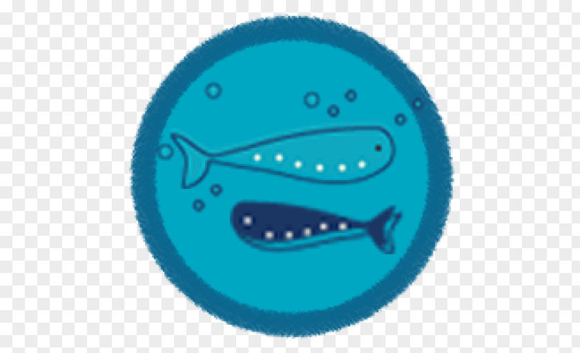 Fish Marine Mammal Font Turquoise PNG