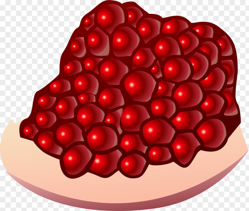Hand Painted Red Pomegranate Auglis Light PNG
