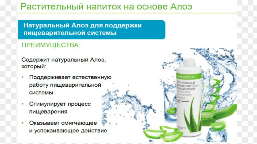 Herbalife Background Presentation Breakfast Conversation Online And Offline Water PNG