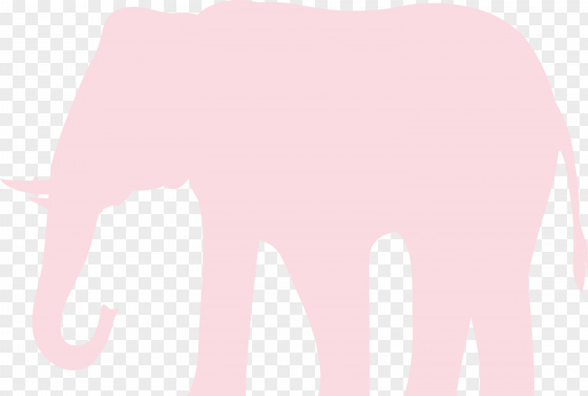 Indian Elephant PNG