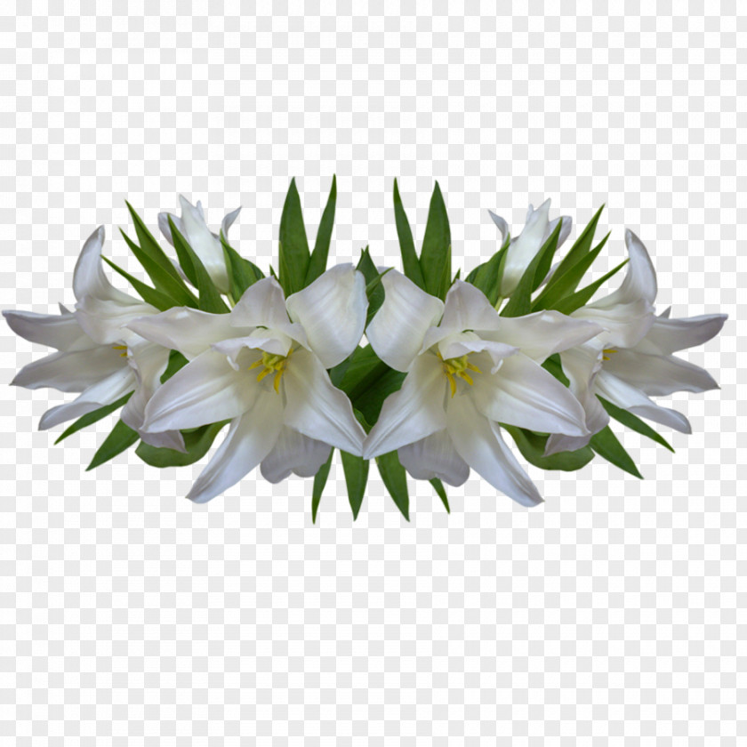 Lily Elegant Ornament Lilium Flower PNG