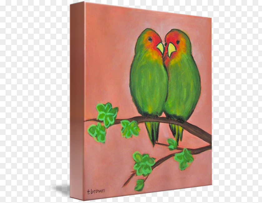 Painting Lovebird Watercolor Parakeet Gallery Wrap PNG