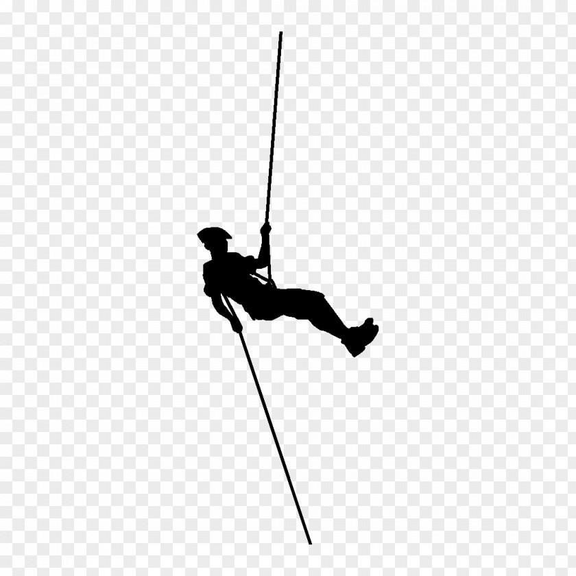Rope Vector Ski Poles Recreation Line Silhouette White PNG