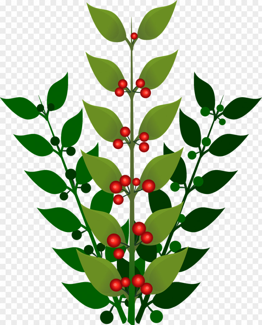 Strawberry Berry Branch Clip Art PNG