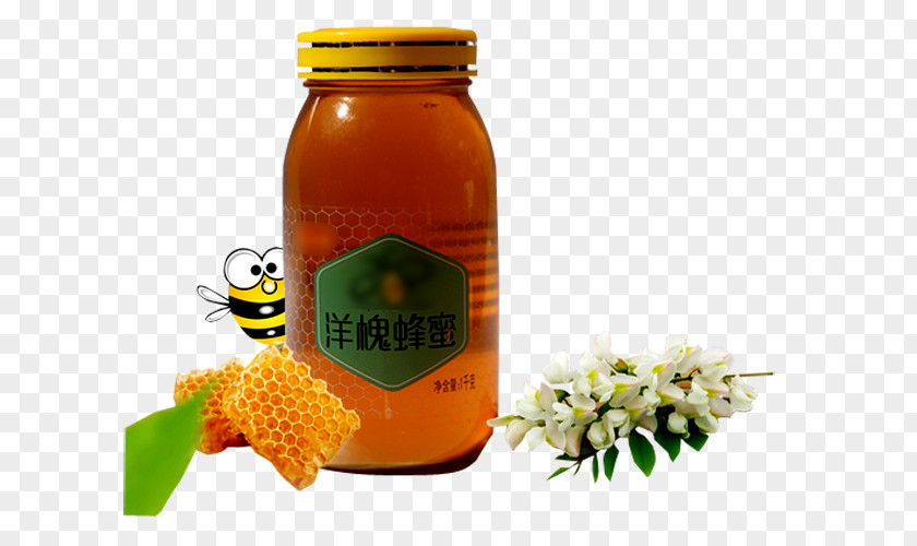 Acacia Honey Bee Wattles PNG