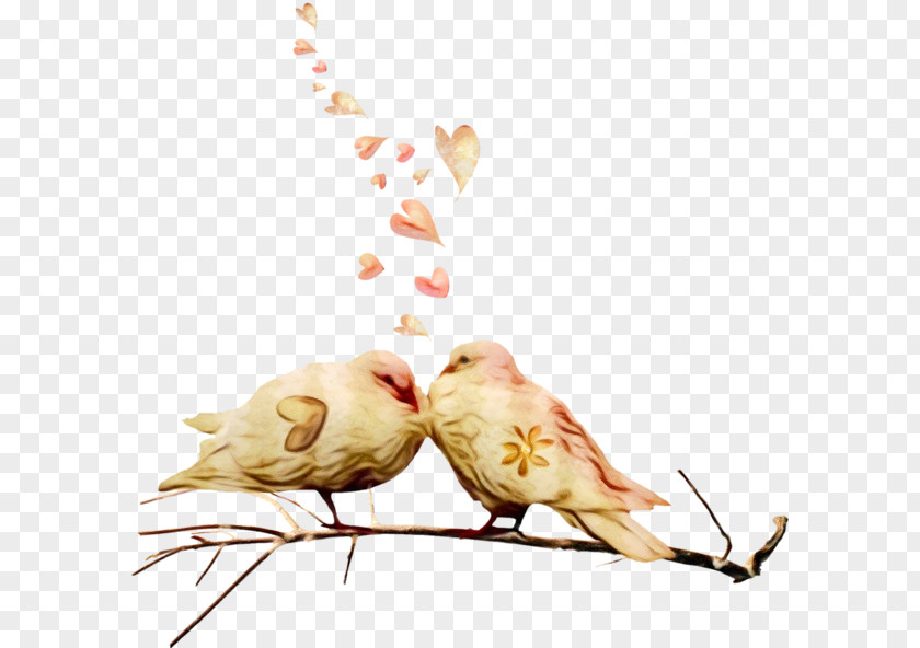 Perching Bird Twig Watercolor Flower Background PNG