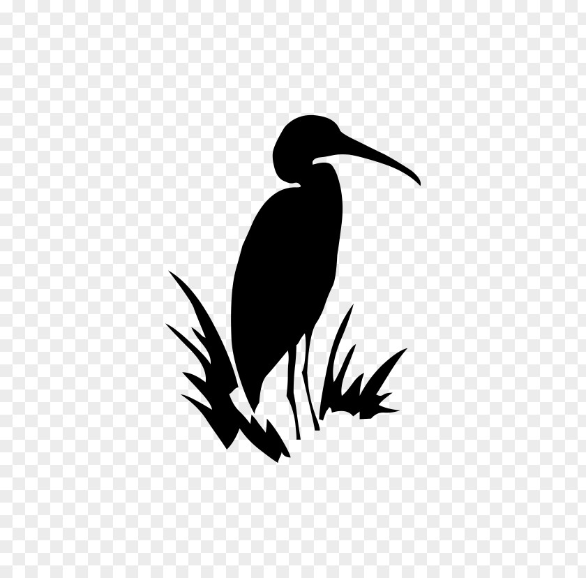 Beak Bird Crane Fauna Font PNG