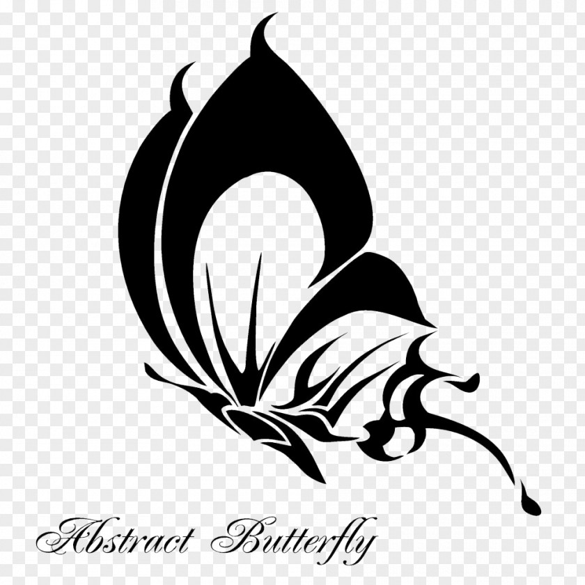 Butterfly Abstract Art Photography PNG