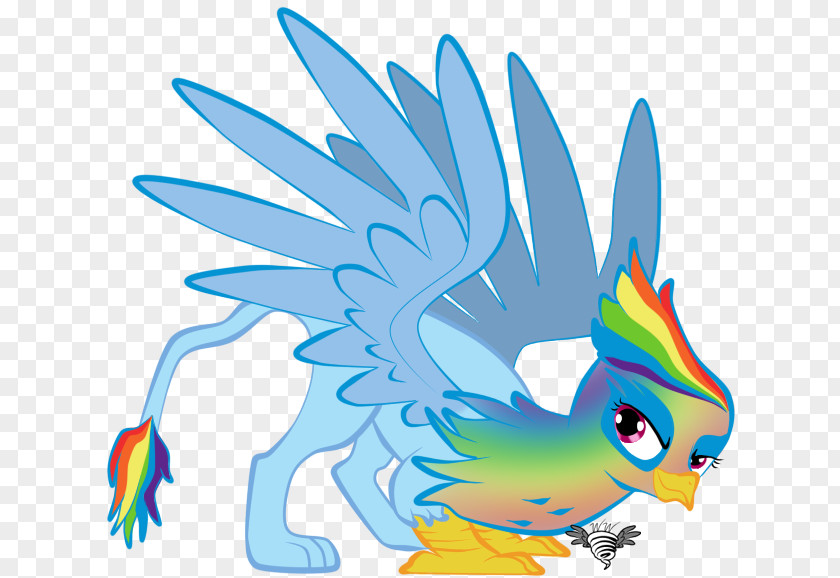Griffin Rainbow Dash Twilight Sparkle My Little Pony PNG
