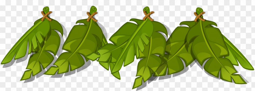 Leaf Cartoon Plant Stem PNG