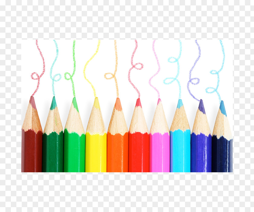 Pencil Colored Drawing Coloring Book Sketch PNG