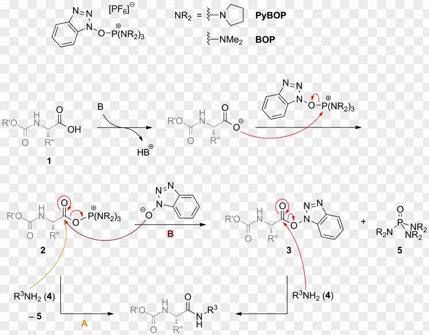 Thumbnail Chemical Synthesis Amide Total PyBOP PNG