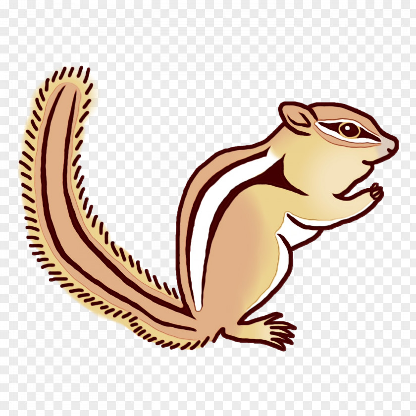 Chipmunk Squirrels Reptiles Character 02021 PNG