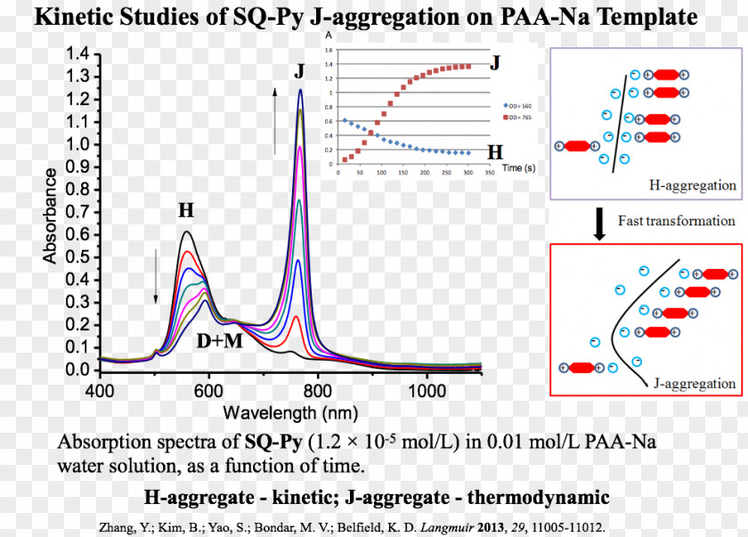 Light New Jersey Institute Of Technology Squaraine Dye J-aggregate Fluorescence PNG