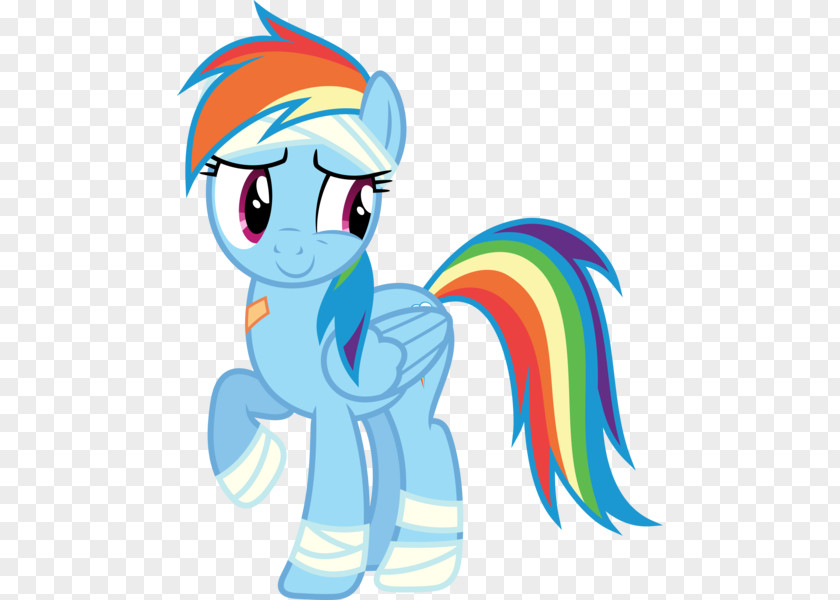 Rainbow Pony Dash Rarity Pinkie Pie Applejack PNG