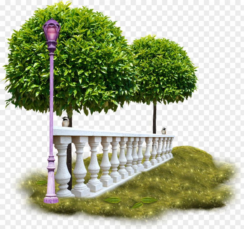 Tree Gardening Trees For Small Gardens Flower Garden PNG