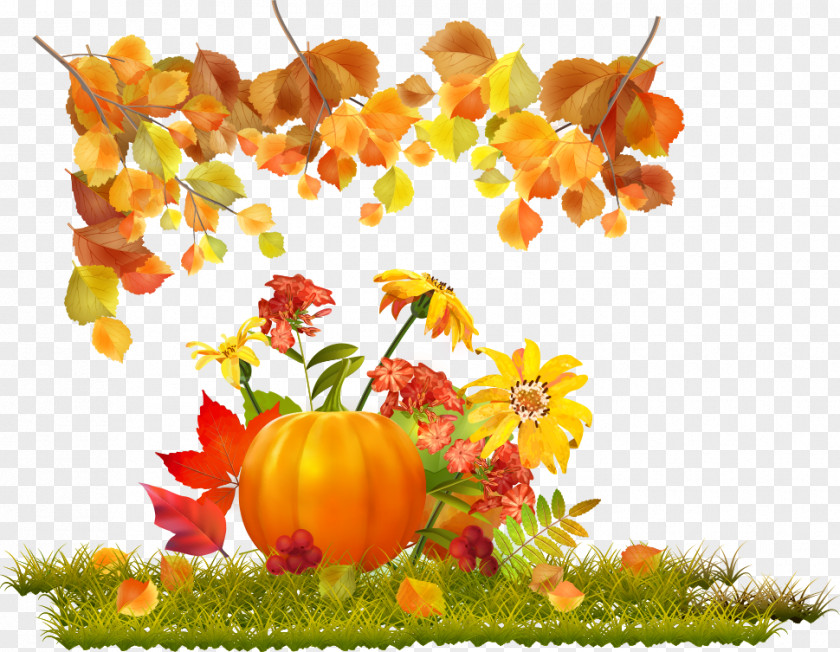 Vector Leaves And Pumpkins Autumn Download PNG
