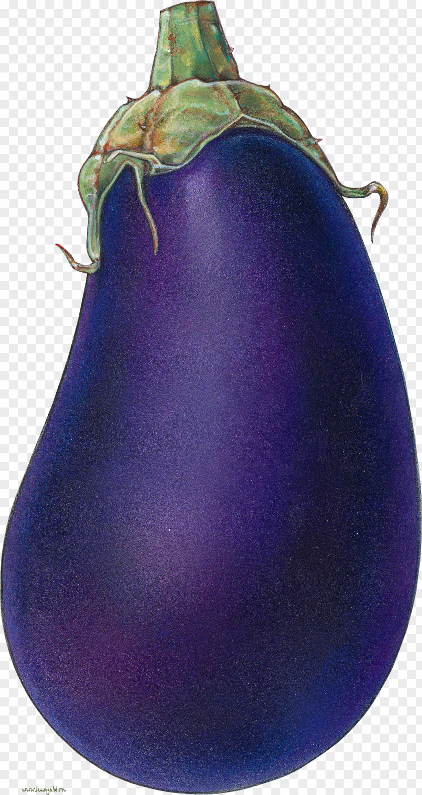 Vegetable Fruit Eggplant Painting Drawing PNG