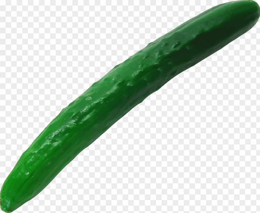 Vegetable Pickled Cucumber PNG