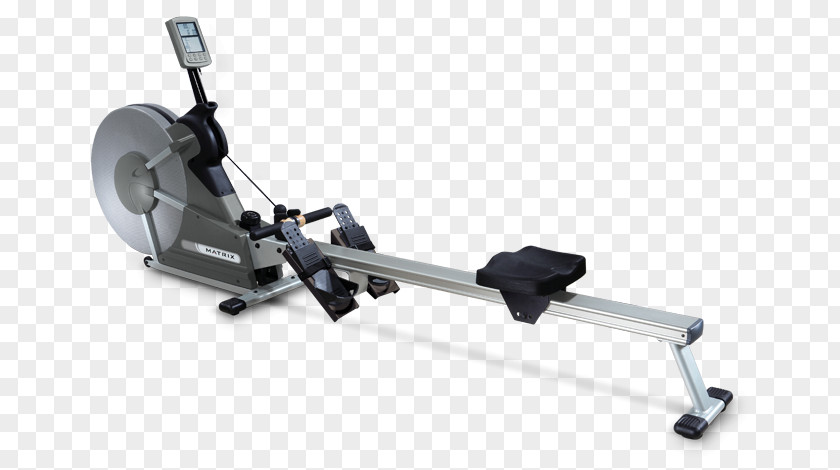 Wisentreservat Damerower Werder Indoor Rower Rowing Fitness Centre Exercise Physical PNG