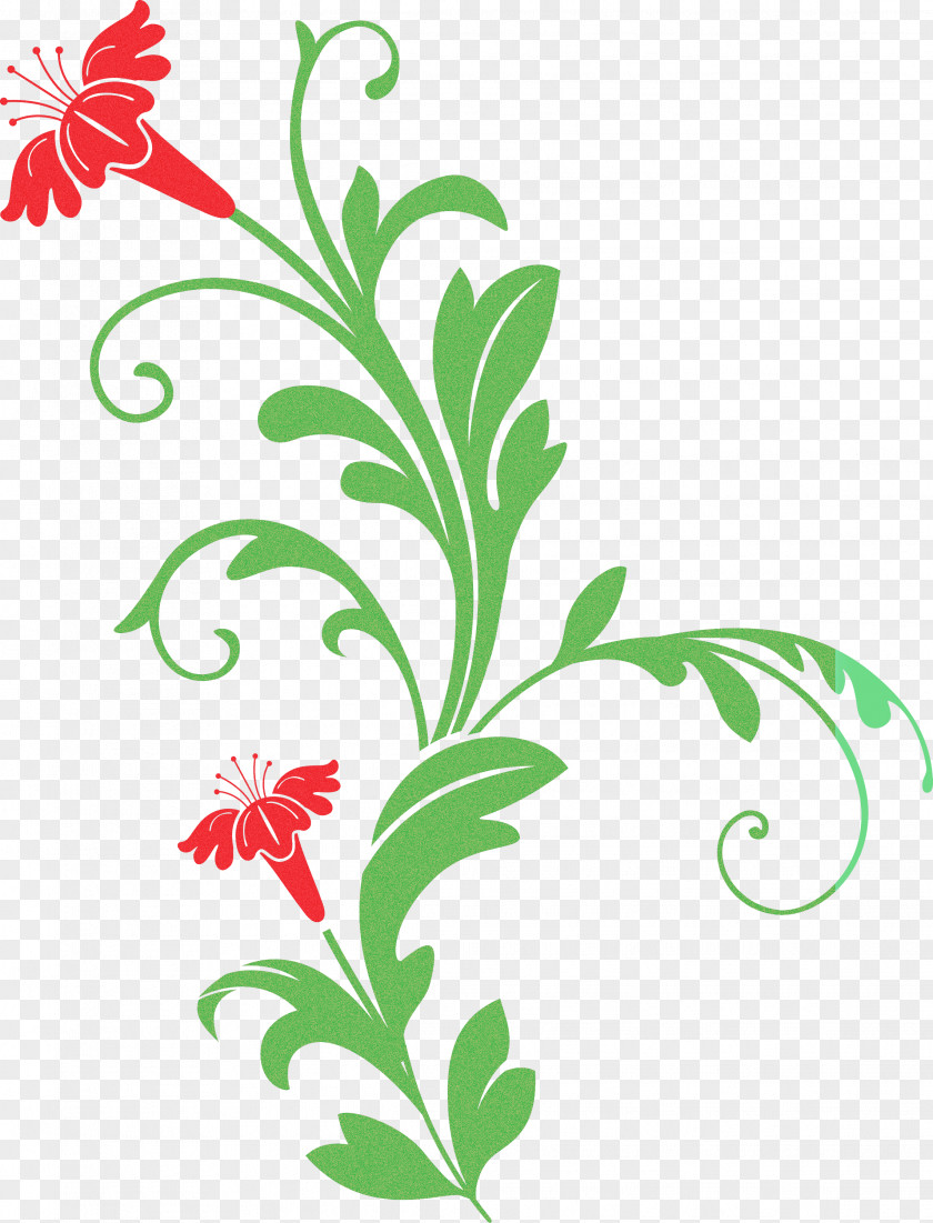 Decoration Frame Floral Flower PNG