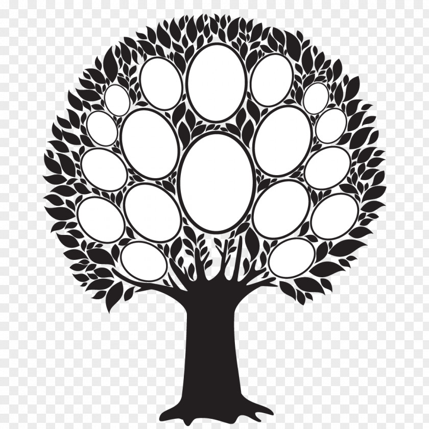 Family Tree Picture Frames PNG