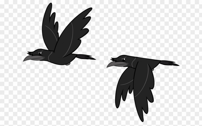 Flying Hooded Crow Bird Rook Clip Art Image PNG