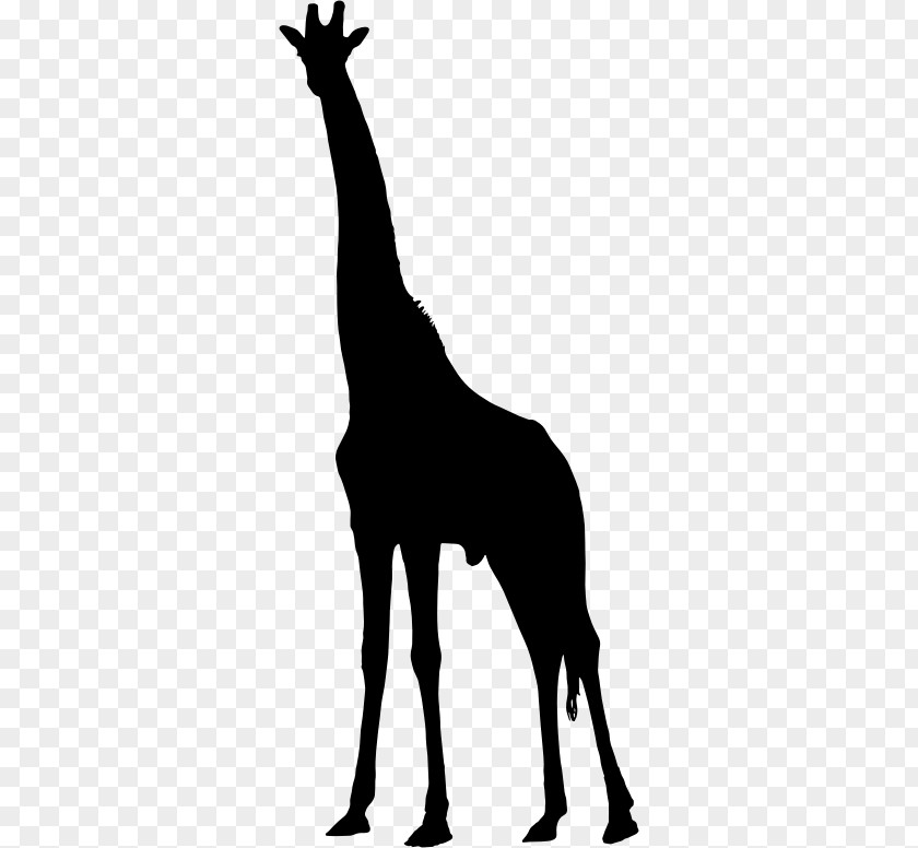 Giraffe Silhouette West African Clip Art PNG