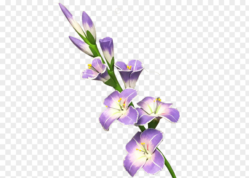 Gladiolus Picture Flower Clip Art PNG