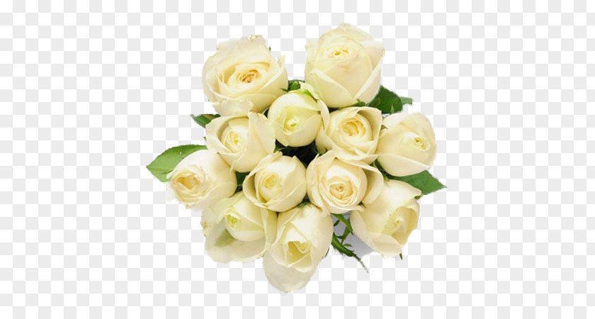 Rose Flower Bouquet White Gift PNG