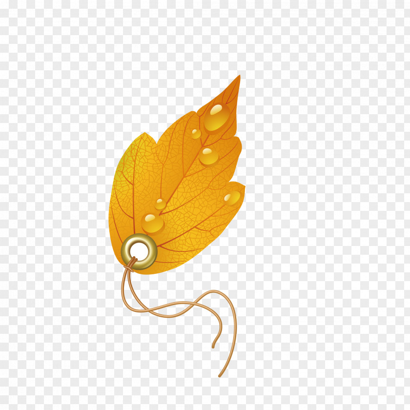 Autumn Personality Promotion Label Euclidean Vector Maple Leaf PNG