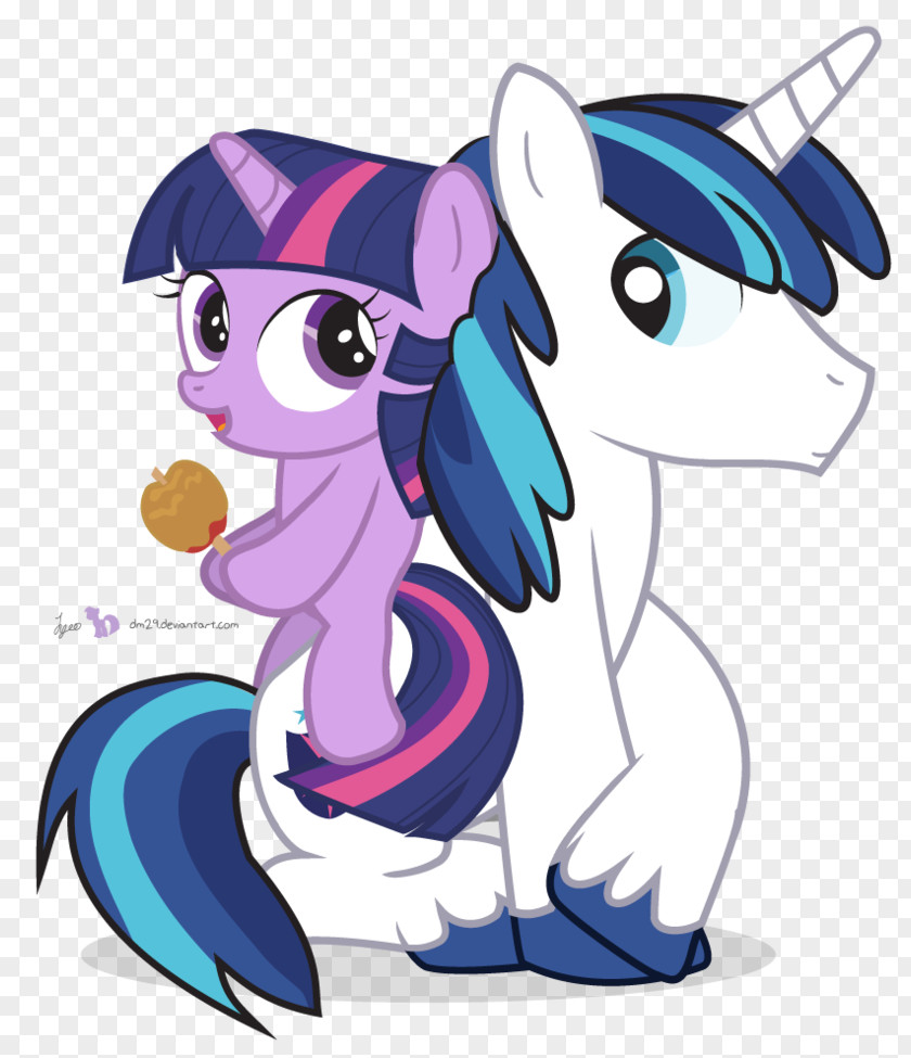 Big Brother Pony Twilight Sparkle Rainbow Dash Fan Art DeviantArt PNG