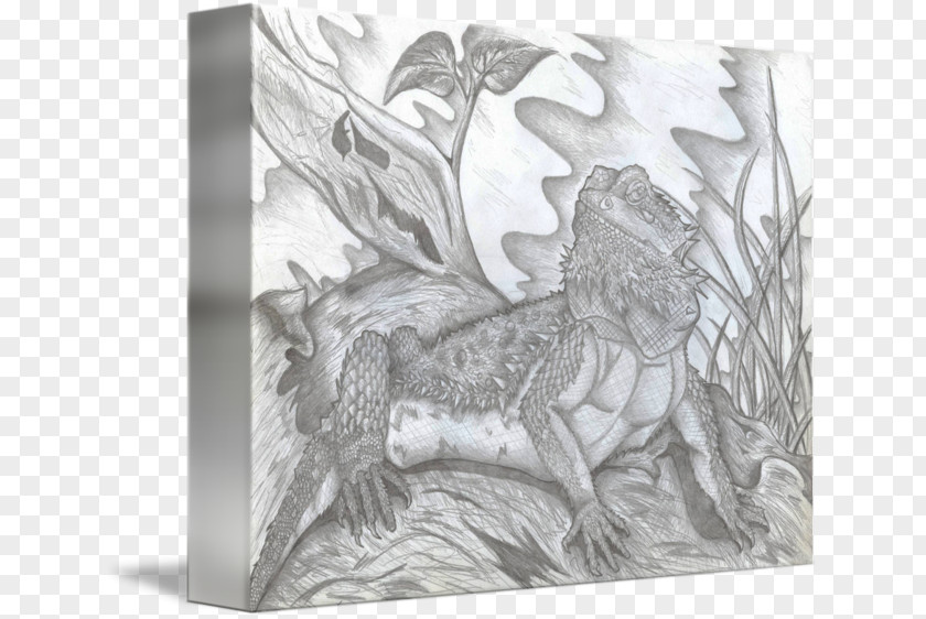 Car Bearded Dragon Legendary Creature White PNG