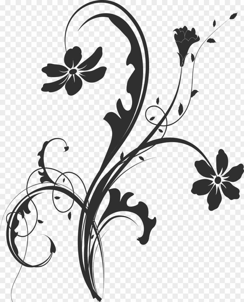 Design Black And White Photography Monochrome Painting Clip Art PNG