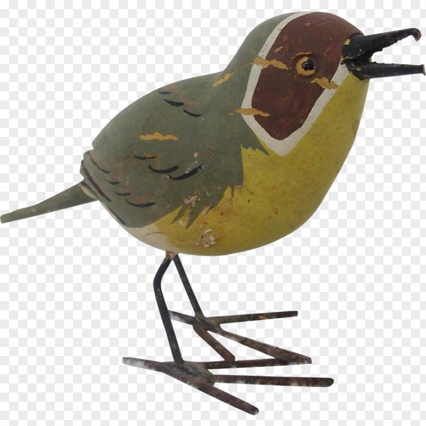 Hand-painted Birds Bird Beak Fauna PNG