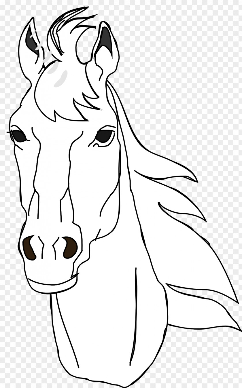 Horse Head Coloring Book Mask Australian Stock Drawing Clip Art PNG