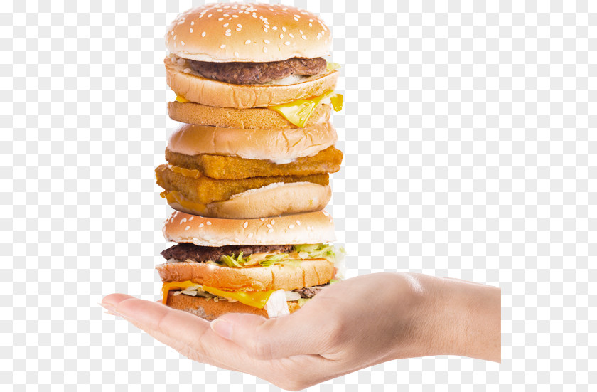 Junk Food Hamburger Alimento Saludable Eating PNG