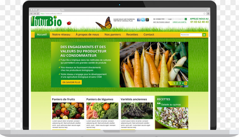 Futur Web Page Display Advertising Multimedia PNG