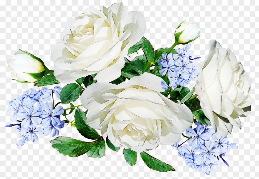 Garden Roses PNG