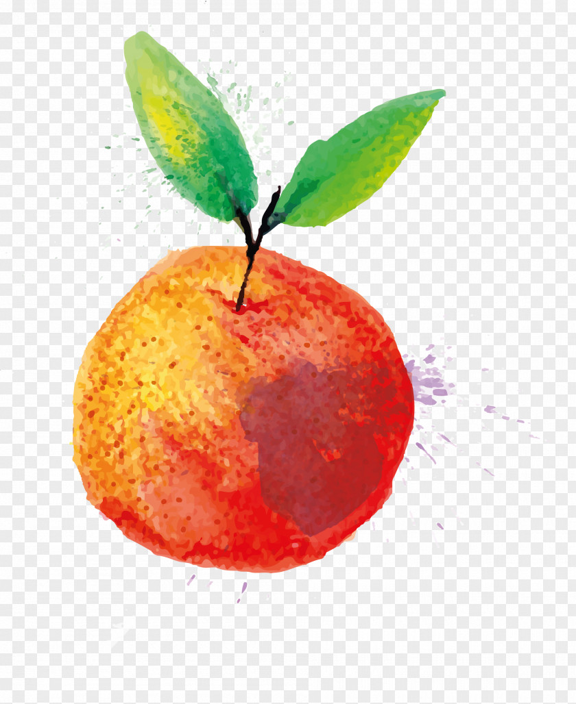 Apple Water Watercolor Painting PNG